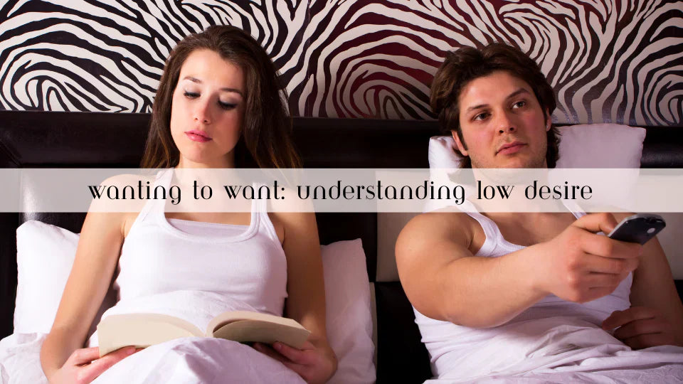 Wanting to Want - Understanding Low Desire
