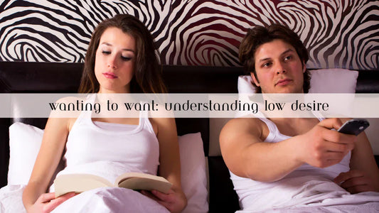Wanting to Want - Understanding Low Desire
