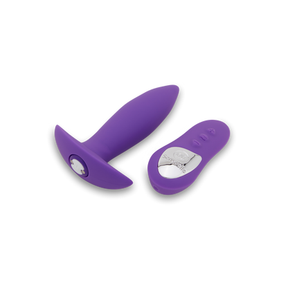 Mini Plug R/C