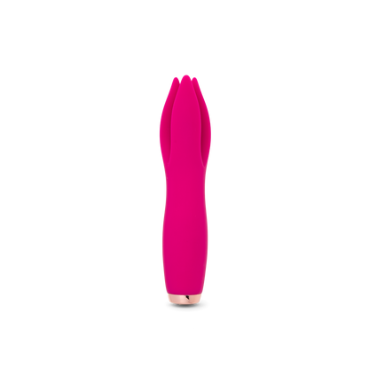 Tulip